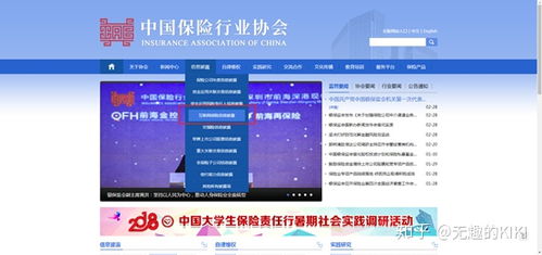 梧桐樹保險(xiǎn)經(jīng)紀(jì) 互聯(lián)網(wǎng)信息服務(wù)解析與市場(chǎng)認(rèn)知